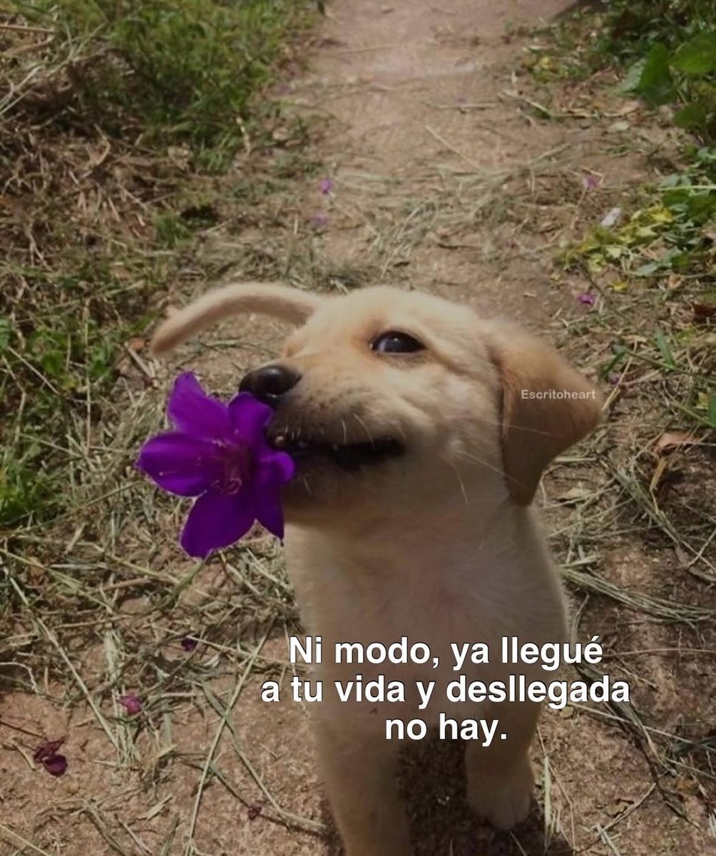 11:11 (@11h11hrs) on Twitter photo 