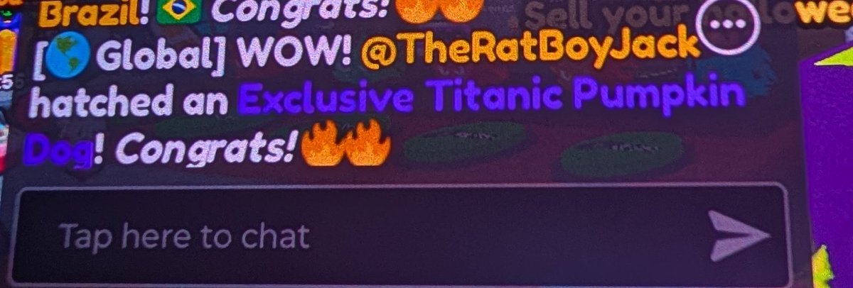 Off to bed I go! What a great weekend!!! Thank you <a href="/BuildIntoGames/">BIG Games</a> <a href="/CoderMitchell/">Mitchell</a>

#PetSimulator99