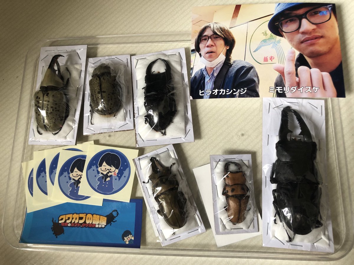 ジェロニモ (@Syn0315) / Posts / X