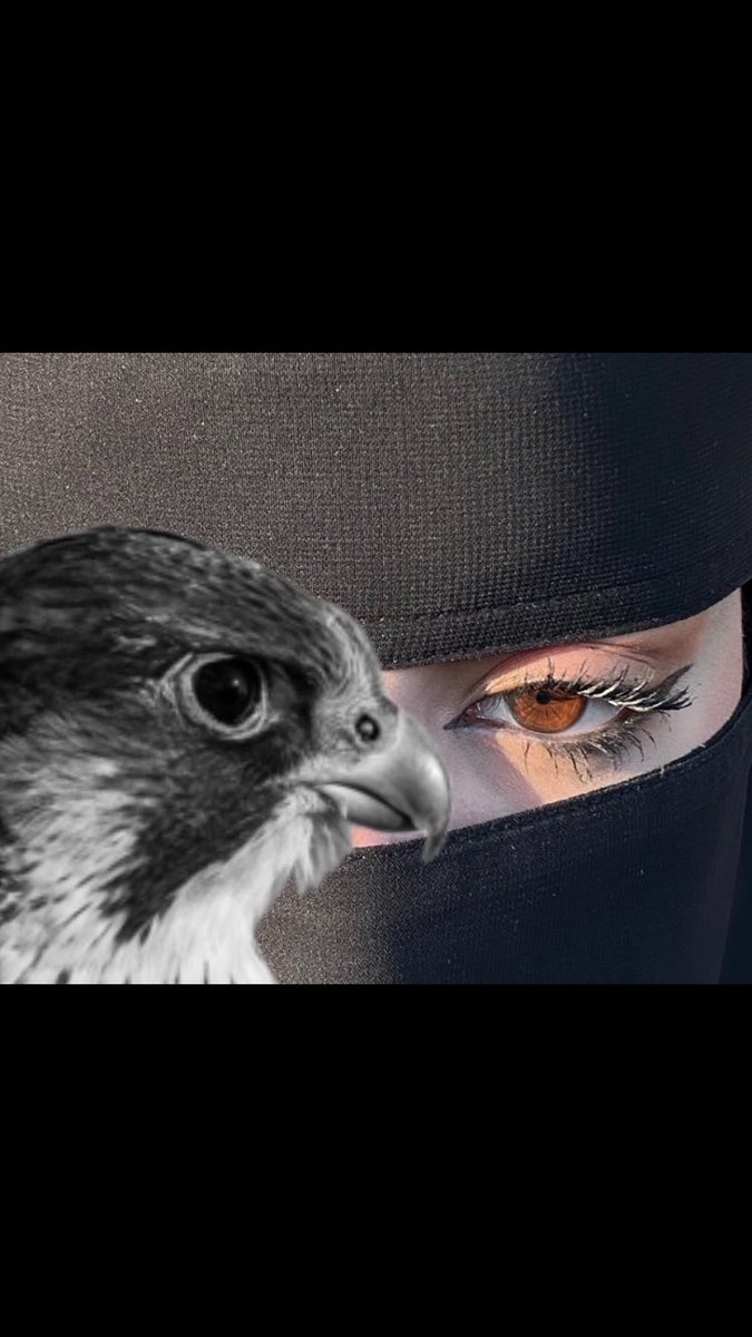 ي صباح الخير ي بنيه فريجي 
مثل عين الطير يازين محكاها 
 #حبيت اقول