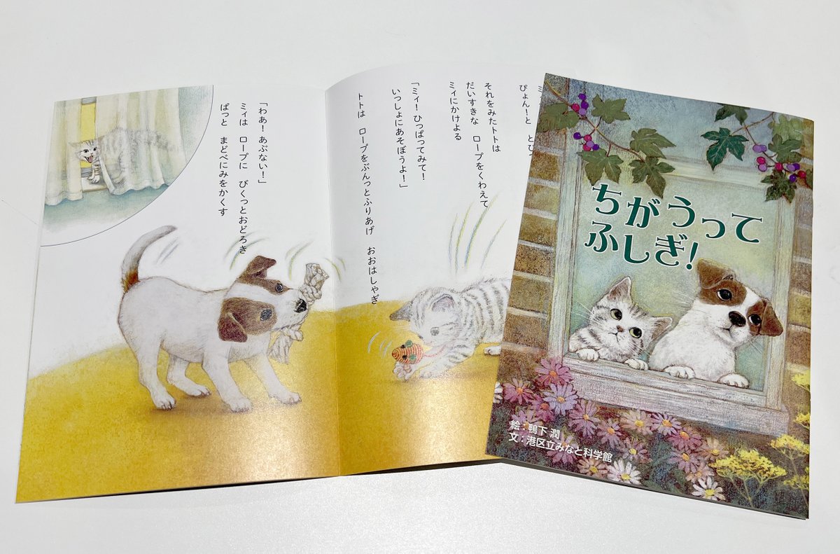 minato_kagaku's tweet image. 2025秋の企画展「ちがうってふしぎ！～絵本から考えるネコとイヌ～」開催中✨
minato-kagaku.tokyo/event/2025autu…＆dogs/
みなと科学館では企画展期間中、アンケートにご回答いただくと、企画展オリジナル絵本をプレゼント🎁 ぜひご意見ご感想をお聞かせくださいね🤗