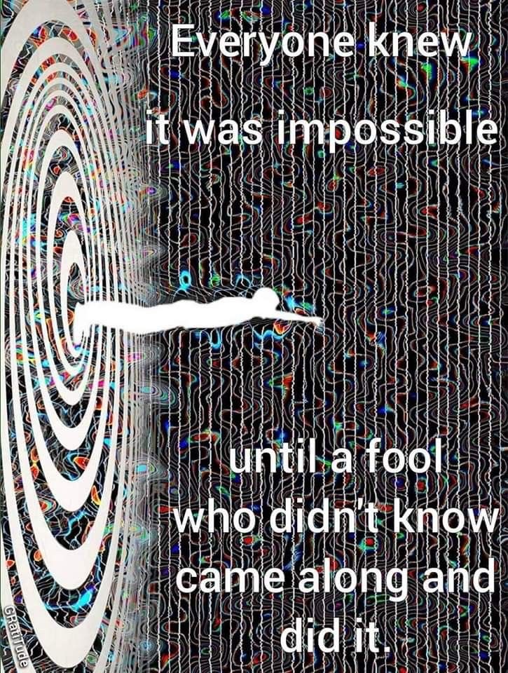 White_Rabbit_OG's tweet image.