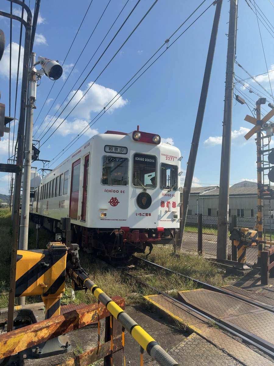 草軽電気鉄道 2'6\" gauge through white birch 草軽電気鉄道 2'6