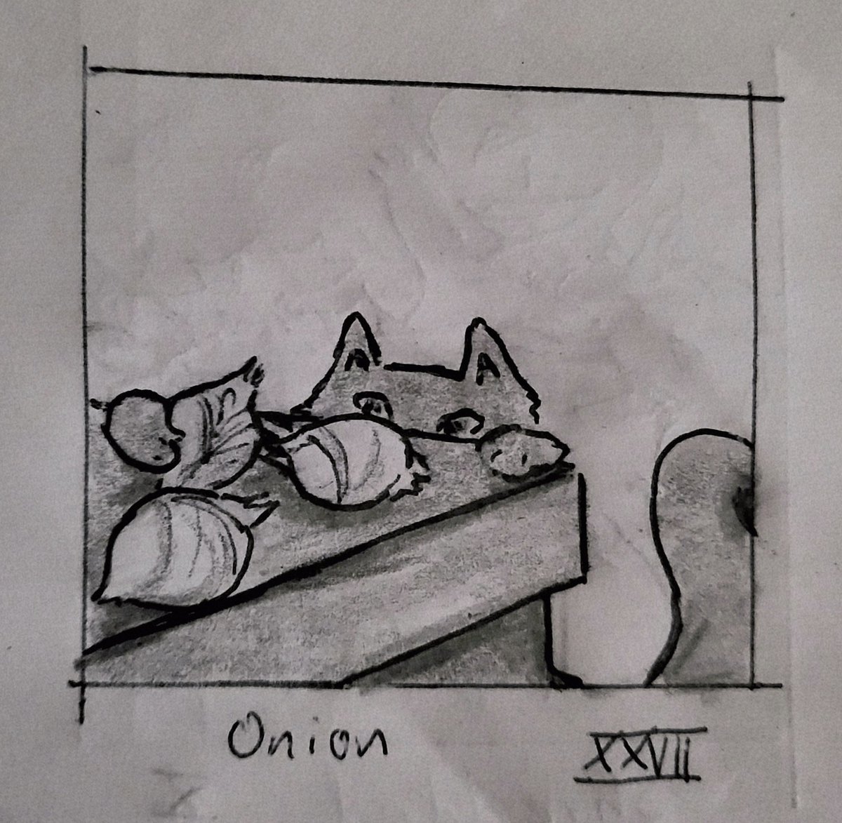 Day 27 of #Inktober2025 : onion
