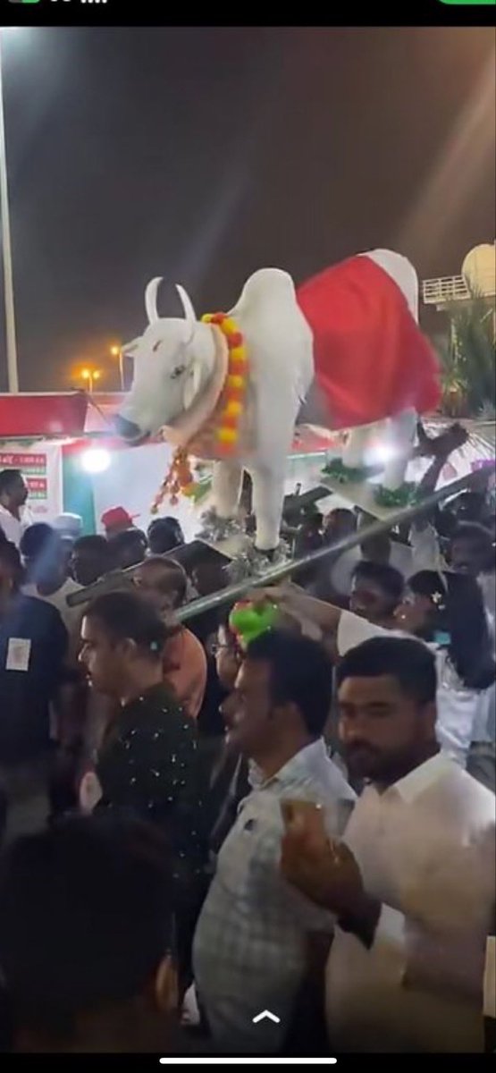 نُهى علي جلادة المشاهير tweet media