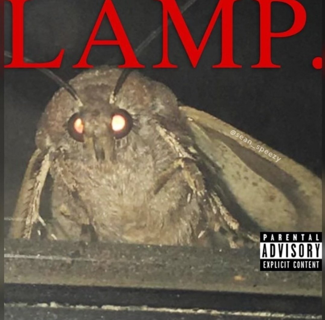 Jamester ๐ง๐น (@jamesteryeahz) on Twitter photo Moth posting:๐ก Moth posting:๐ก