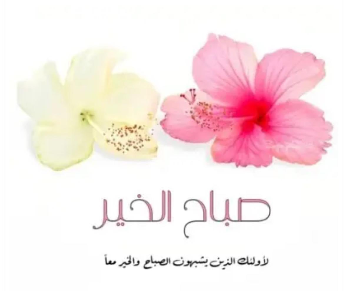#يخبرني_الصباح أنه..
برسائل الأحبة الصباحية
بنسائمه وضيائه.. نعمةٌ عظيمة🤗