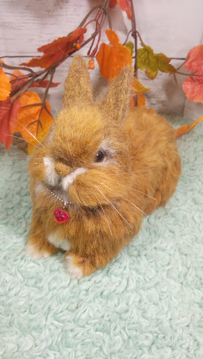 オーダー頂いた羊毛🐰ちゃん❤
こんなに可愛くなりました💕
🐰･･･テヘヘおしゃれしたんだ(💗ペンダント)似合うかなぁ～💓
飼い主(買い主)様の元へ出発でーす🚚💨
気に入ってくれるといいなぁ～🤗💕