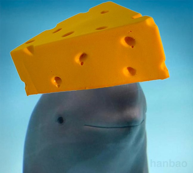 Laios 🩸 (@l4i0s) on Twitter photo 