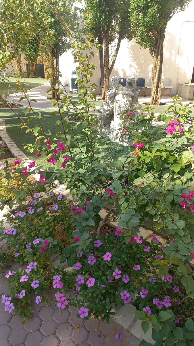 mavie365's tweet photo. انقبلت تمريض https://t.co/mGMPJzPtq5