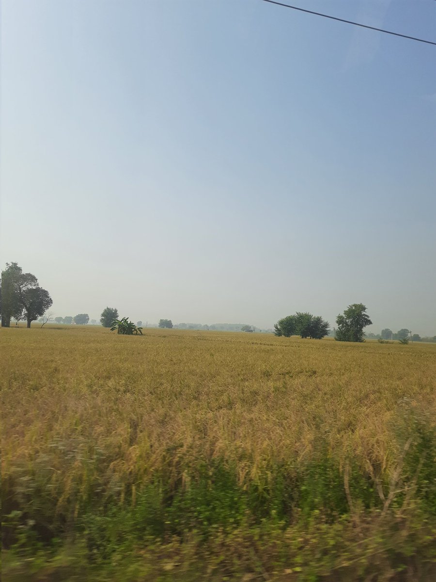 enjoying nature view, on my way to hospital.
my mother and granda both doing little better now 😊

wishing you a wonderful week ahead