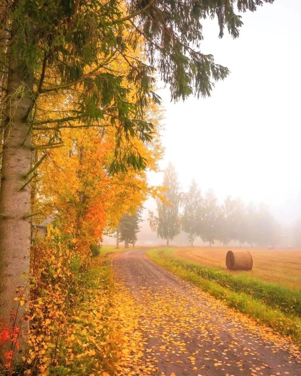 123 (@xetra_a) on Twitter photo 