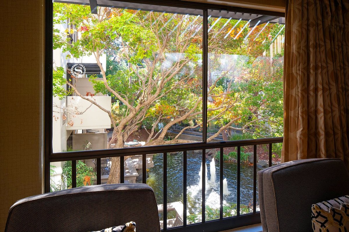 PASheraton's tweet image. 🌿✨ Take a moment to look out your window at the Sheraton Palo Alto and soak in the serene, beautifully landscaped surroundings. Peaceful views, right at your doorstep. 🪴🌸

#SheratonPaloAlto #SereneViews #RelaxAndUnwind #PeacefulStay #HotelVibes #NatureAtYourWindow
