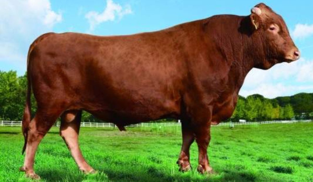 앗!!!깜딱이야!!
한우축제라고 TPO맞췄냐!!!
이서쿤 아니었으면..살아남을자 없음..😮‍💨