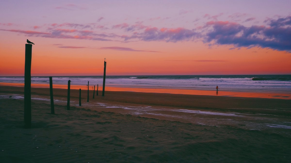 syber_tr's tweet image. Aesthetikk collection : Disposablecam filters.