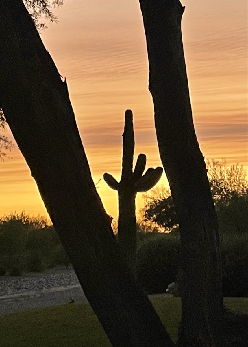 Happy Monday everyone! Goodnight from Arizona. 🌙