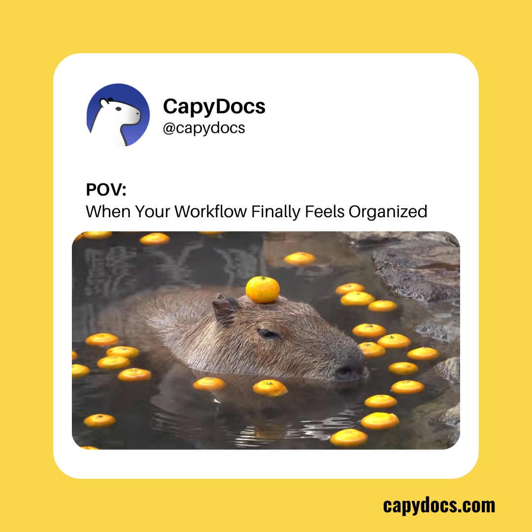 capydocs's tweet image. How it started: 17 "New Folder (2)"s
How it's going: One beautiful, organized CapyDocs system 🌈
Explore more - capydocs.com
#CapyDocs #LifeHack #FoundIt #Organized #meme #TechMeme #CapybaraVibes #capybaramemes