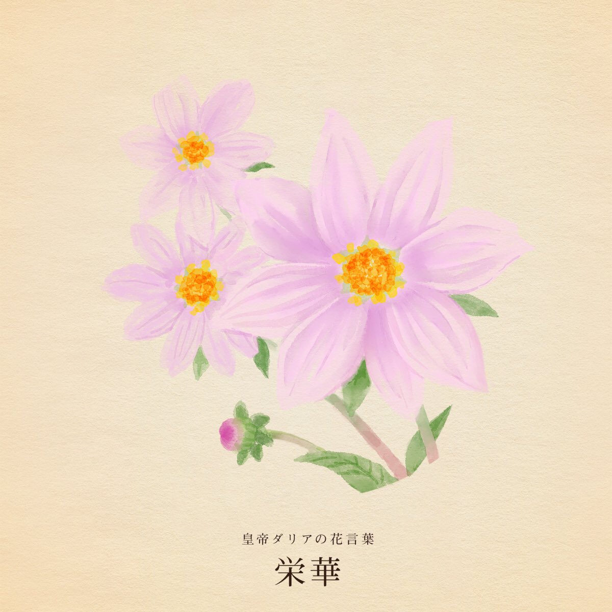 🫧Fumi©︎ 🫧 (@happysharing5) / Posts / X