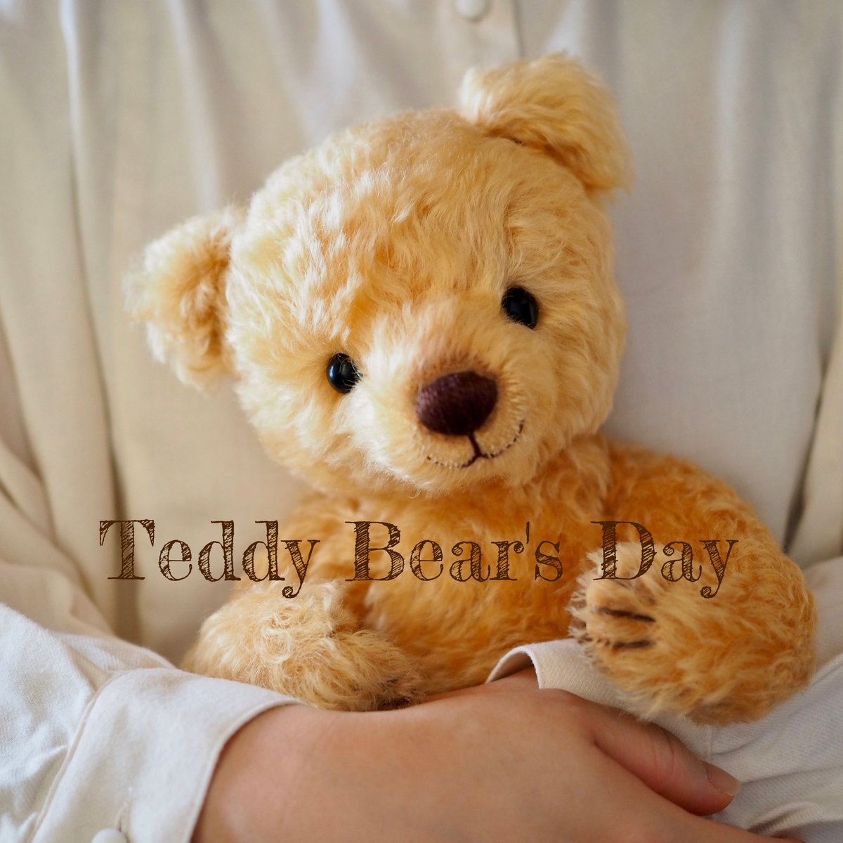 Cotoro Bear（ことろべあ） (@Cotoro_Bear) / Posts / X