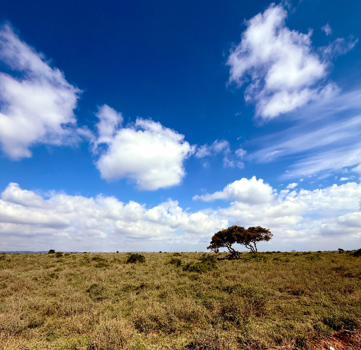 Meet us this week at the <a href="/dua_africa/">Democracy Union of Africa</a> Forum in Nairobi, Kenia. The IDU believes in an #Africa that trades more. An Africa that defines partnership as equality. An Africa whose young innovators lead not by waiting for approval but by daring to act. Thank you <a href="/KANUParty_ke/">The KANU Party</a> and