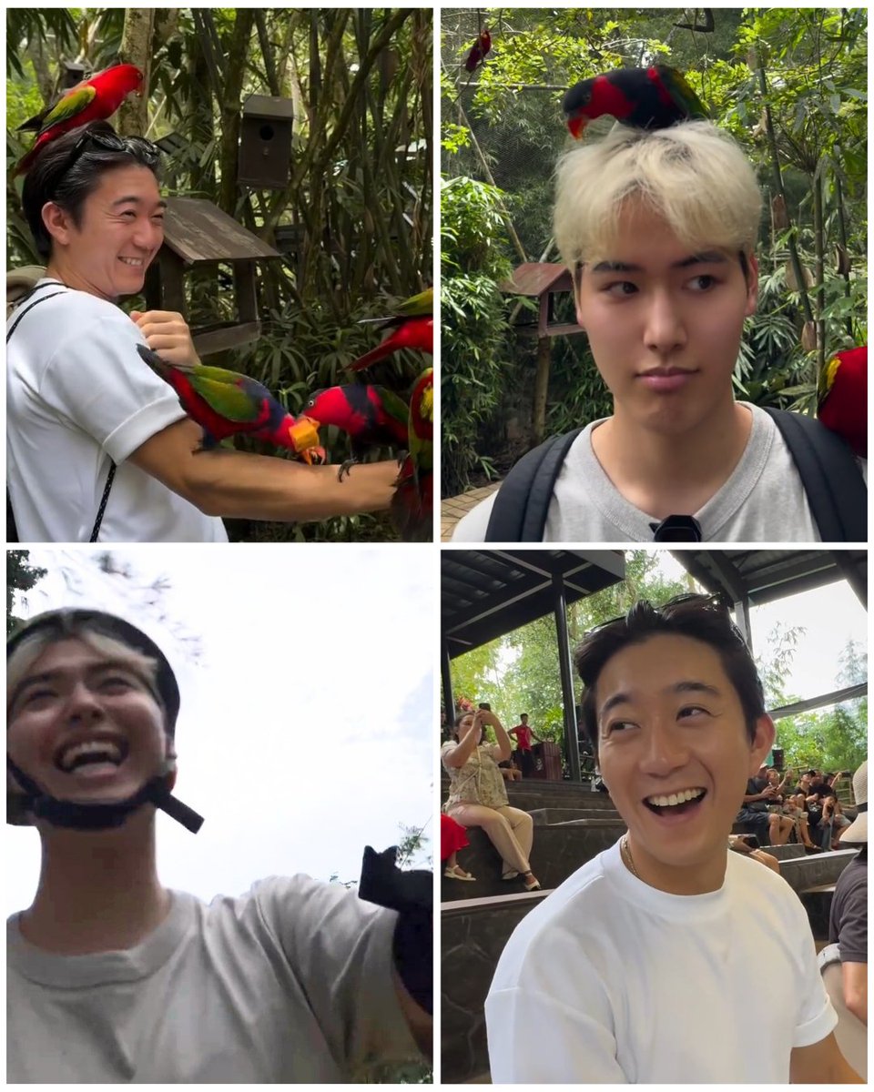 Seeing them both so happy makes me happy too. ❤️🦜. 
#Dai_Shun