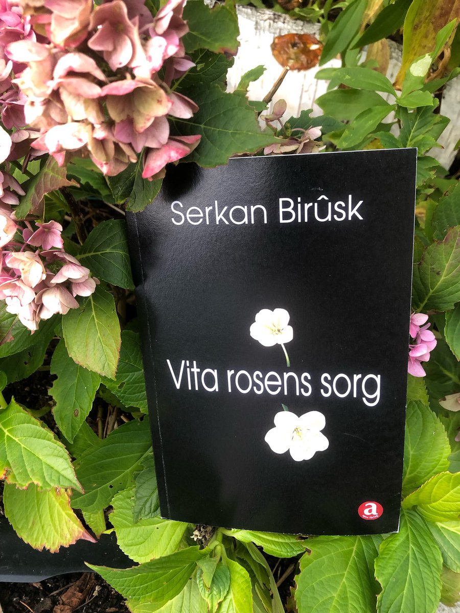 serkanBirsk's tweet photo. Romana min a bi navê XWEZÎ niha bi navê Vita Rosens Sorg ( Xemgîniya Gula Spî) bi Swêdî û di nava weşanên APEC de li Stockholmê derket. 
V https://t.co/lLaSkQohMY