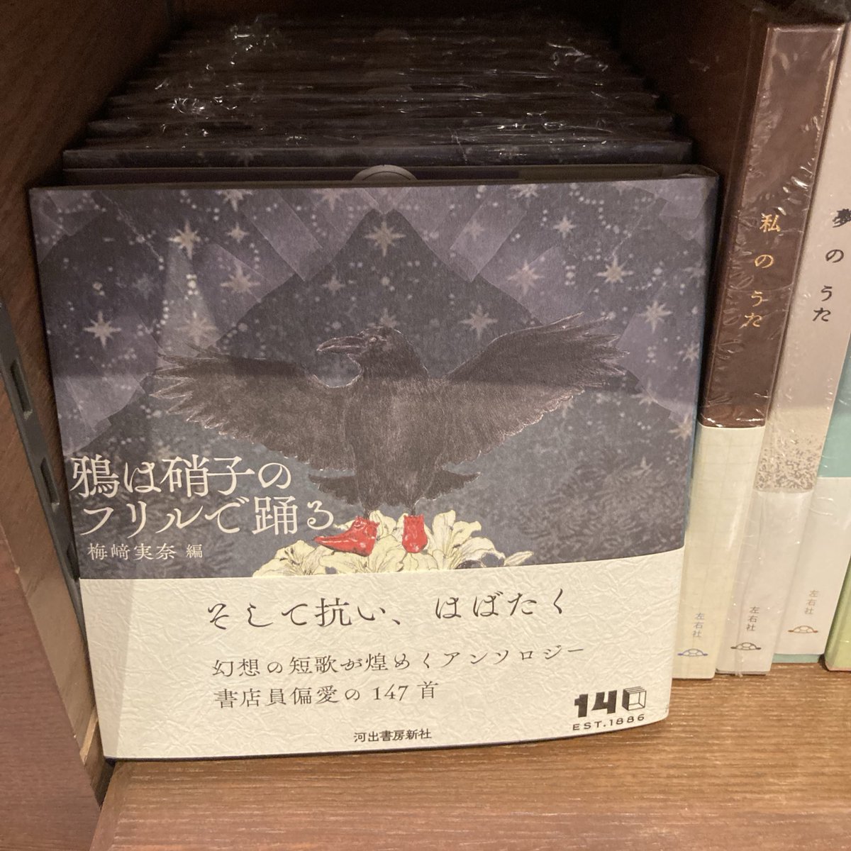 nonohana 歌姫たちのソングオブ短歌 / あんべ光俊 プロデュース nonohana 歌姫たちのソングオブ短歌 / あんべ光俊 プロデュース CD