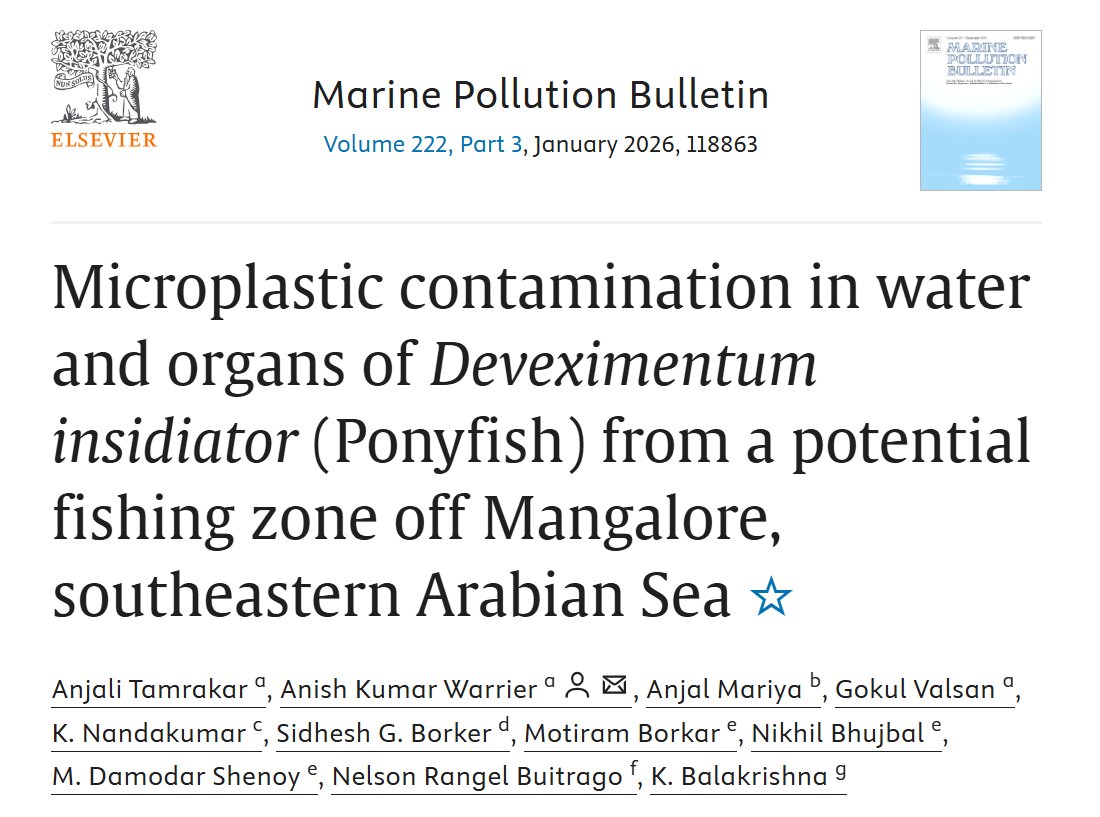 Anjali Tamrakar tweet media