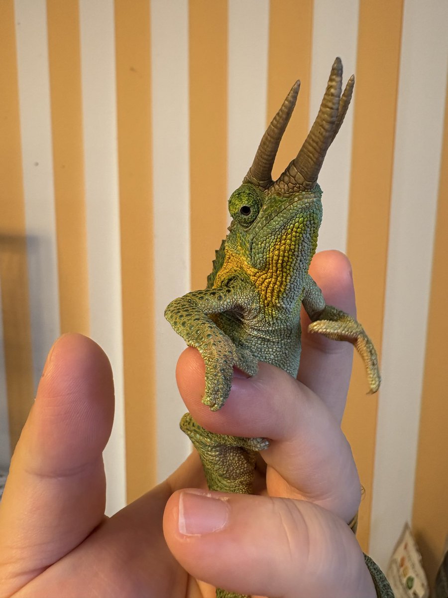 lien（リアン） 11月2日エキスポ浅草‼️ (@lien_1100) / Posts / X