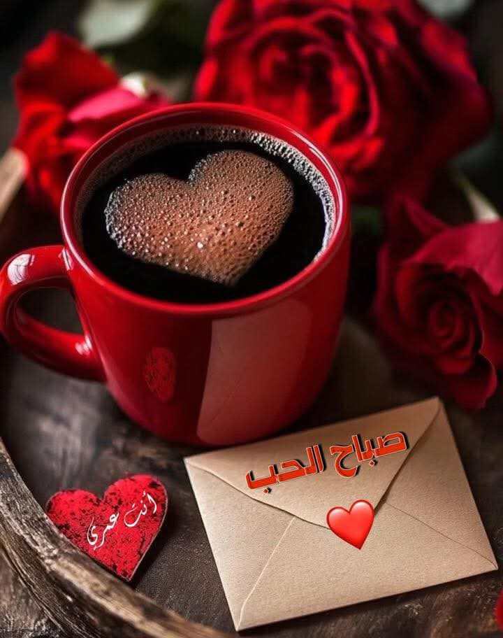 🌹🌹صباح الورد وعطره وجماله 
على الغاليين 

❤️❤️

طاب صباحكم ويومكم