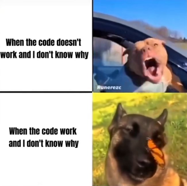 RatBrush's tweet image. Me everytime I code in R I’m the first picture for the majority of the process