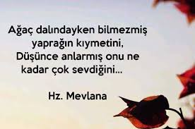 Selam hayırlı sabahlar