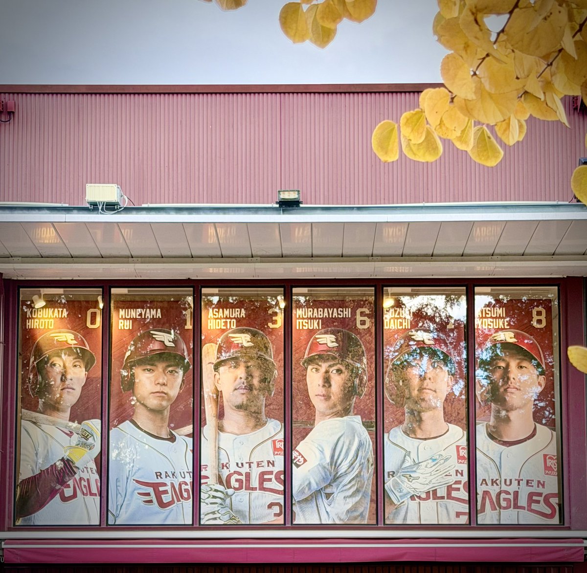 マリ〜ページ miiringo on X