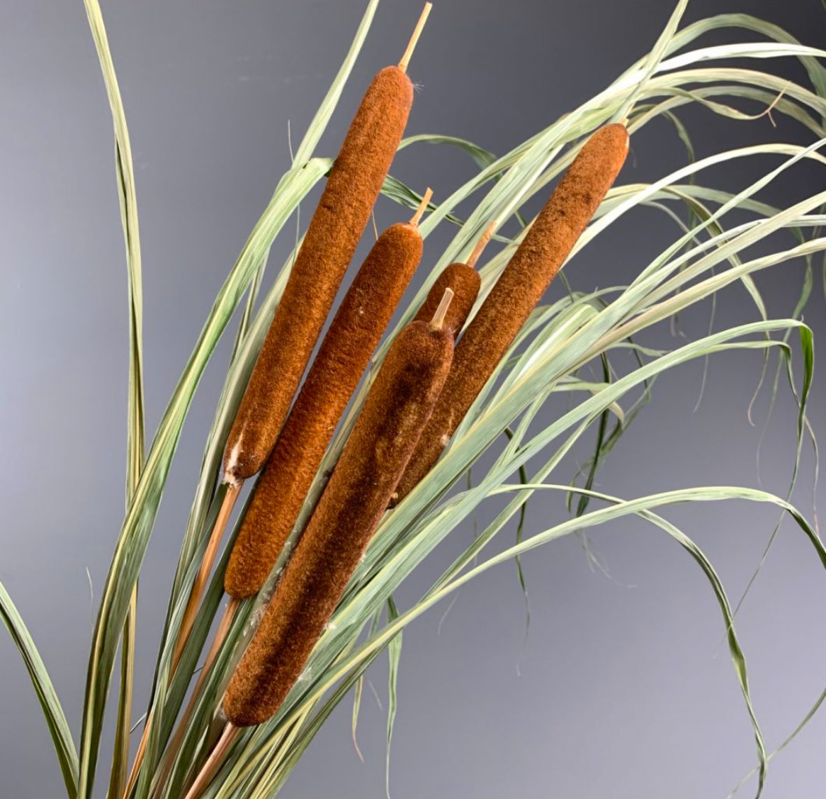 AaronLempert's tweet photo. I hate gay halloween, what do you mean you’re the bundle of bulrushes 
from the movie Sunrise: A Song of Two Humans (1927) that the owner of Silent Movie Theater was killed at? https://t.co/yDp2wEJq8f