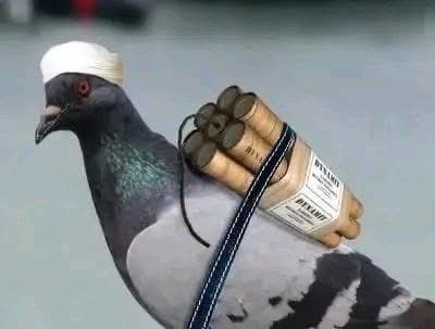 Tweet media one