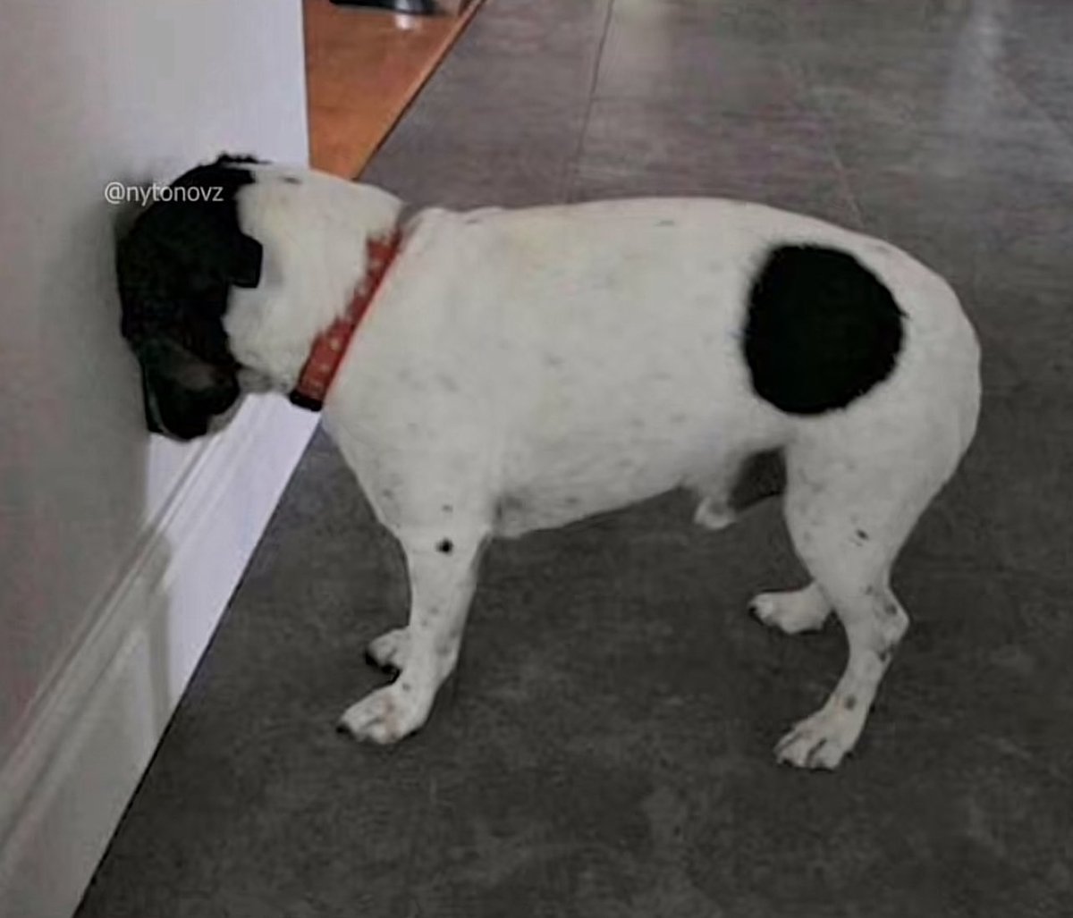 impriman más eventos buenos d ilustración