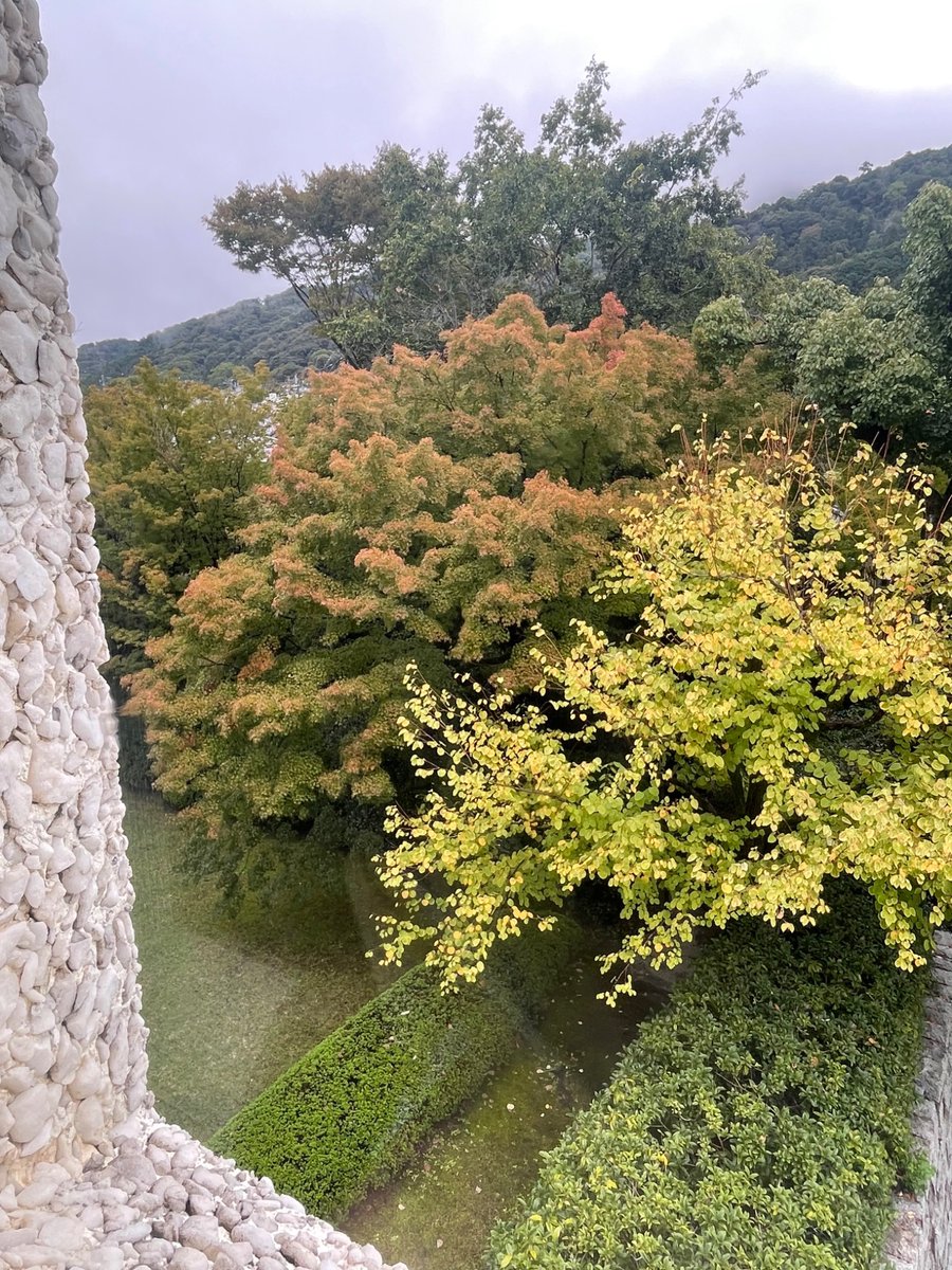 泉屋博古館（せんおくはくこかん） on X