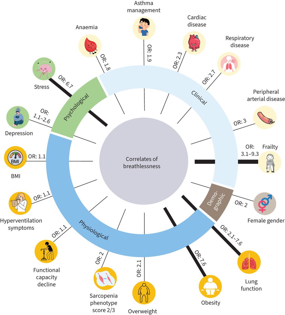 European Respiratory Review: Substantial variability exists in the prevalence and correlates of breathlessness, emphasising its complexity and multifaceted nature. bit.ly/465SBpZ