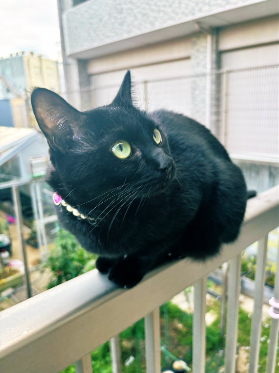 三姉妹 プロフ読んでね(﹡ˆ﹀ˆ﹡)♡ TVアニメ『帝乃三姉妹は案外、チョロい。』 POP UP SHOP in