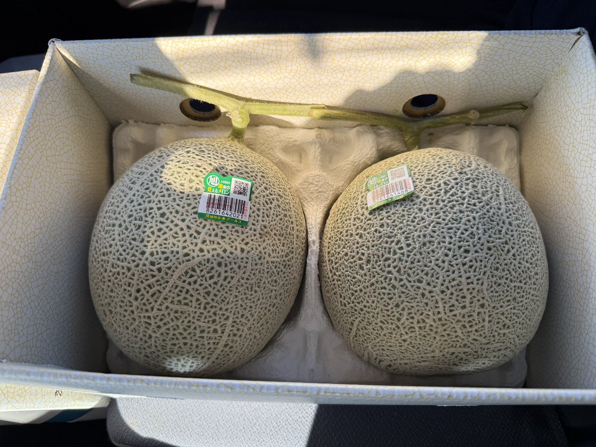 プルート（感謝） Savoring the Seiko Presage Cocktail Time Collection