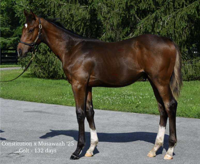 イングリス on X