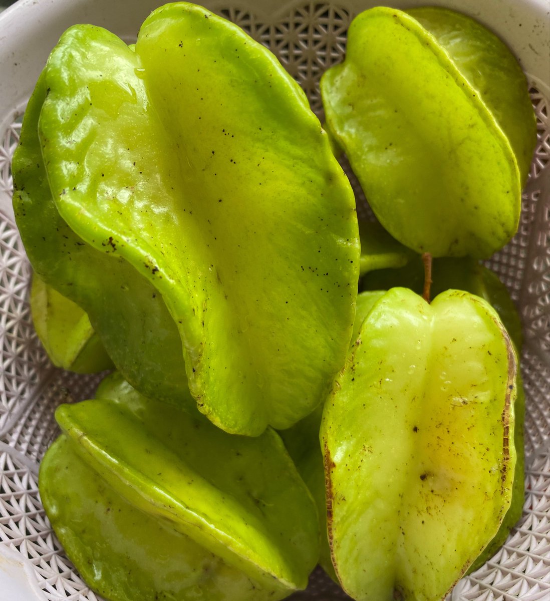 HereVegan's tweet image. More freshly picked organic greens for today🥰🥰🥰

From our humble organic garden🙏🙏🙏

#balimbing #starfruit #bokchoy #greenhouse
#weveganhere 

weveganhere.com