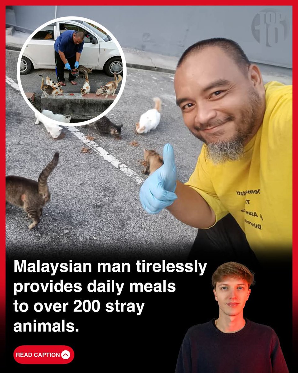 kyril_graguks's tweet image. Thank you Top10s. Saya ni bukan gila viral tapi besar harapan saya agar dapat menjentik sedikit kesedaran pada masyarakat utk turut sama melakukan sedaya mampu anda&menyokong apa jua usaha atas nama perikemanusian terhadap semua makhluk tuhan๐ช
Link disini facebook.com/share/p/16wjGfโฆ