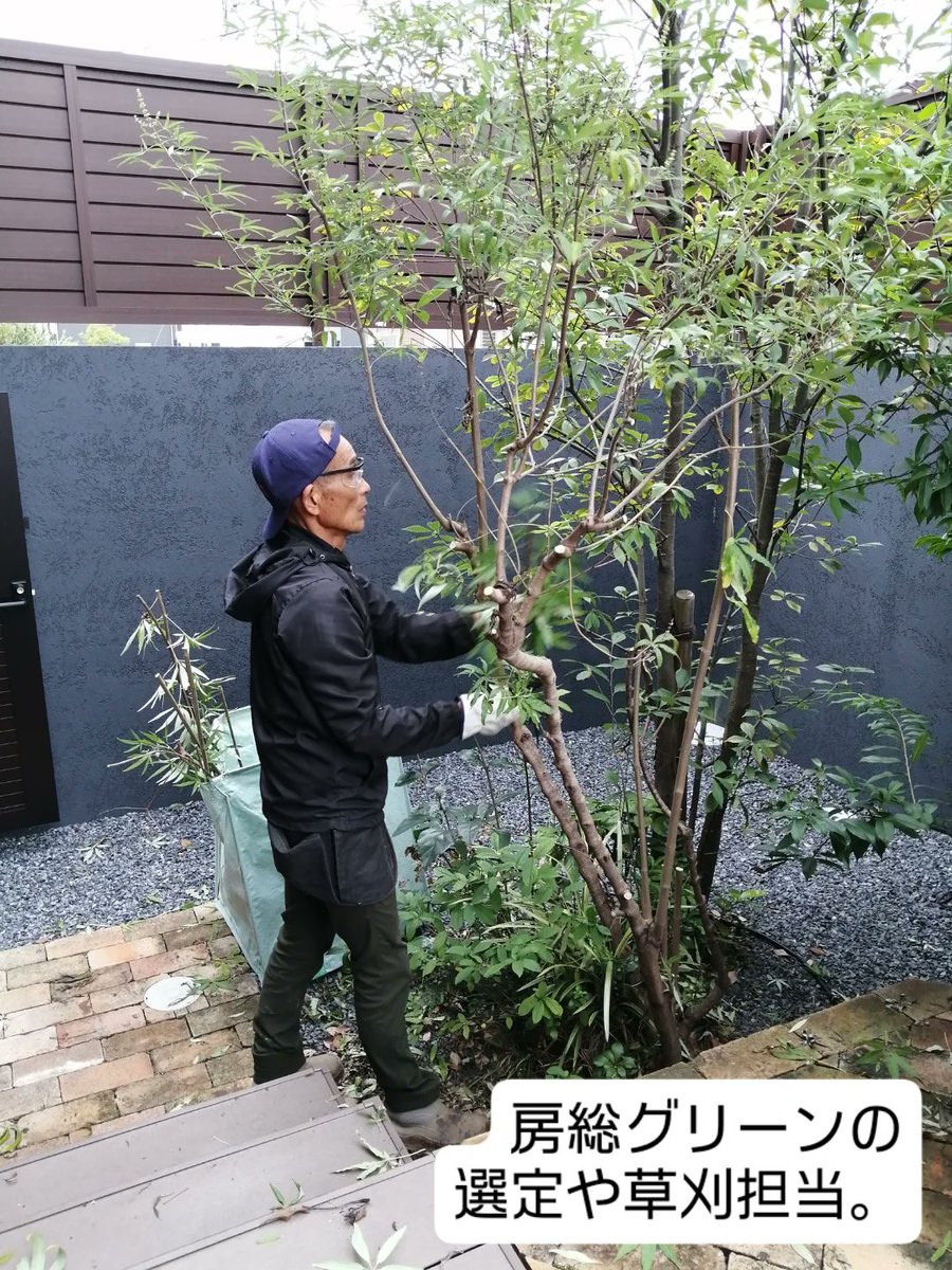 bosoclean's tweet photo. 【剪定の晩秋】

庭木の剪定や草刈りのご依頼が増えています。

この日は木更津市で剪定。
私が運営する【房総クリーン】の庭担当のT氏が剪定し、私はもっぱら回収やお掃除。２人でせっせと励みました。
年末のお掃除のご依頼はお早めに。

#千葉県剪定
#年末のお掃除の依頼 https://t.co/W1v8fEAWUI