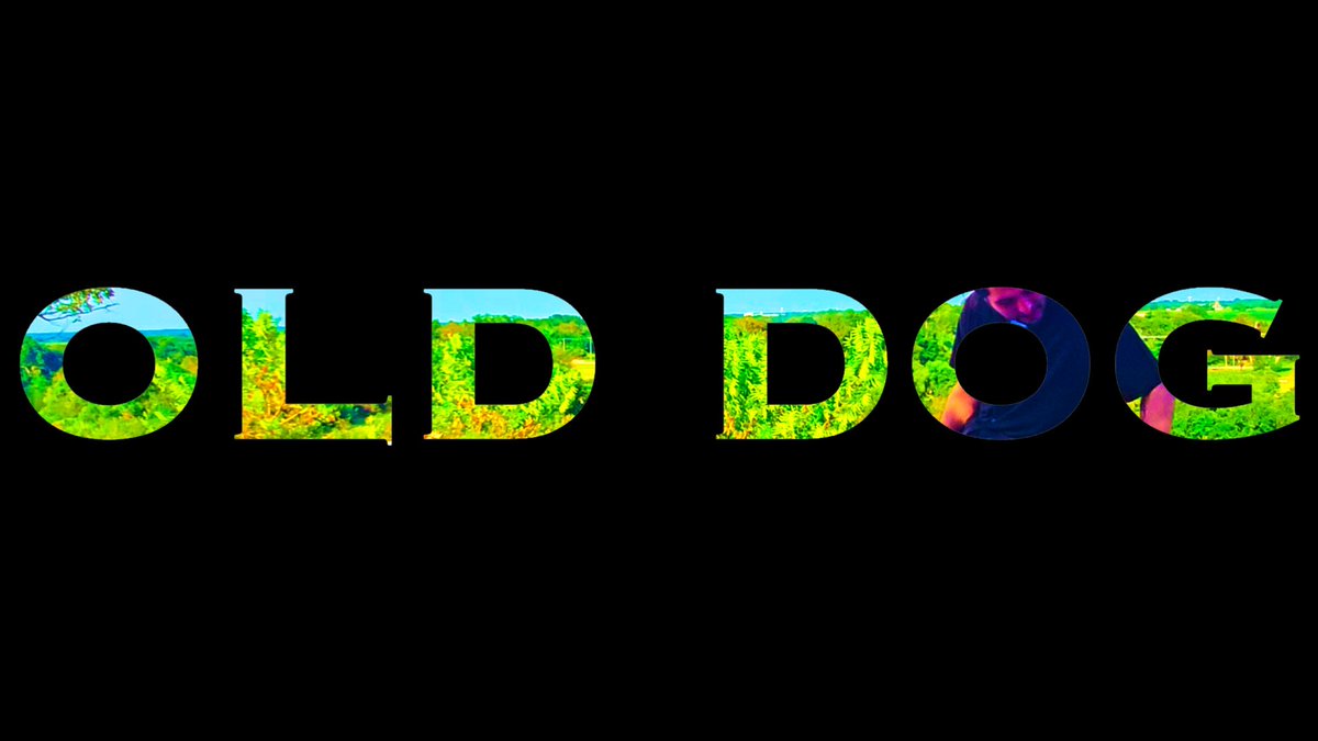 isiah. x mikalbrite - Old Dog (Official Music Video)

out now 💜

🔗 below