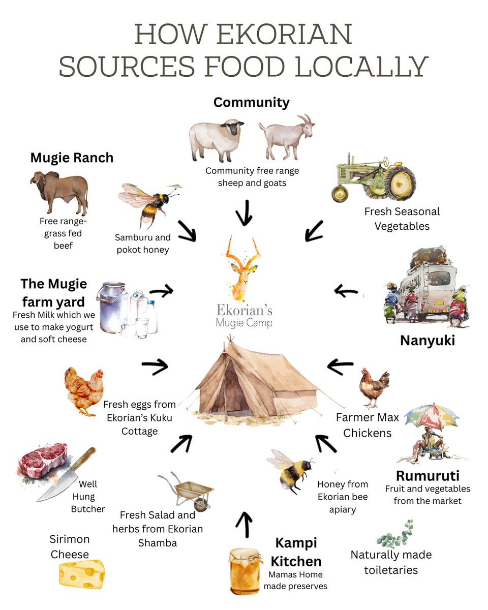 Every meal at Ekorian’s Mugie Camp tells a story — one of community, sustainability, and connection to the land we call home 🌿💚

From local honey &amp; grass-fed beef to garden-fresh veggies &amp; homemade yoghurt, we proudly source from around Mugie.

#SupportLocal #SustainableTourism