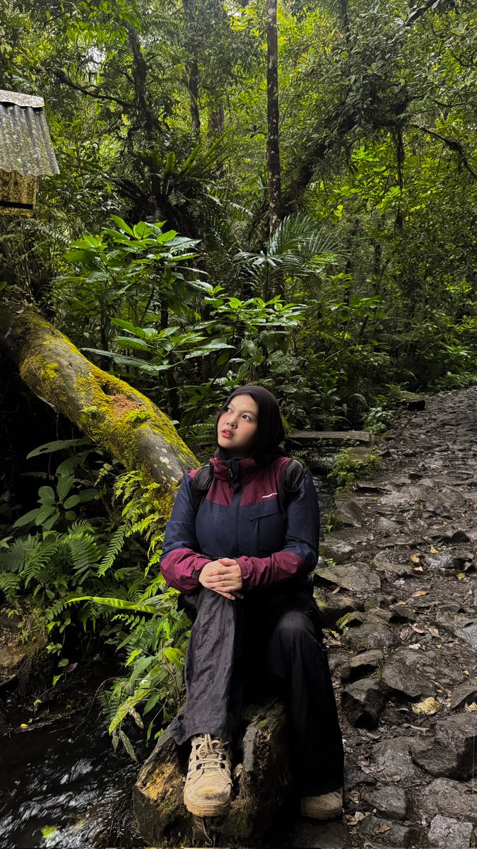 dddirash's tweet image. 