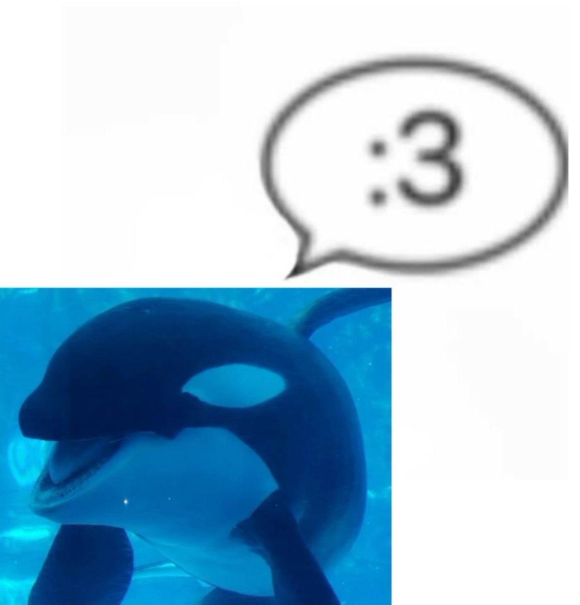 daily canucks updates tweet media