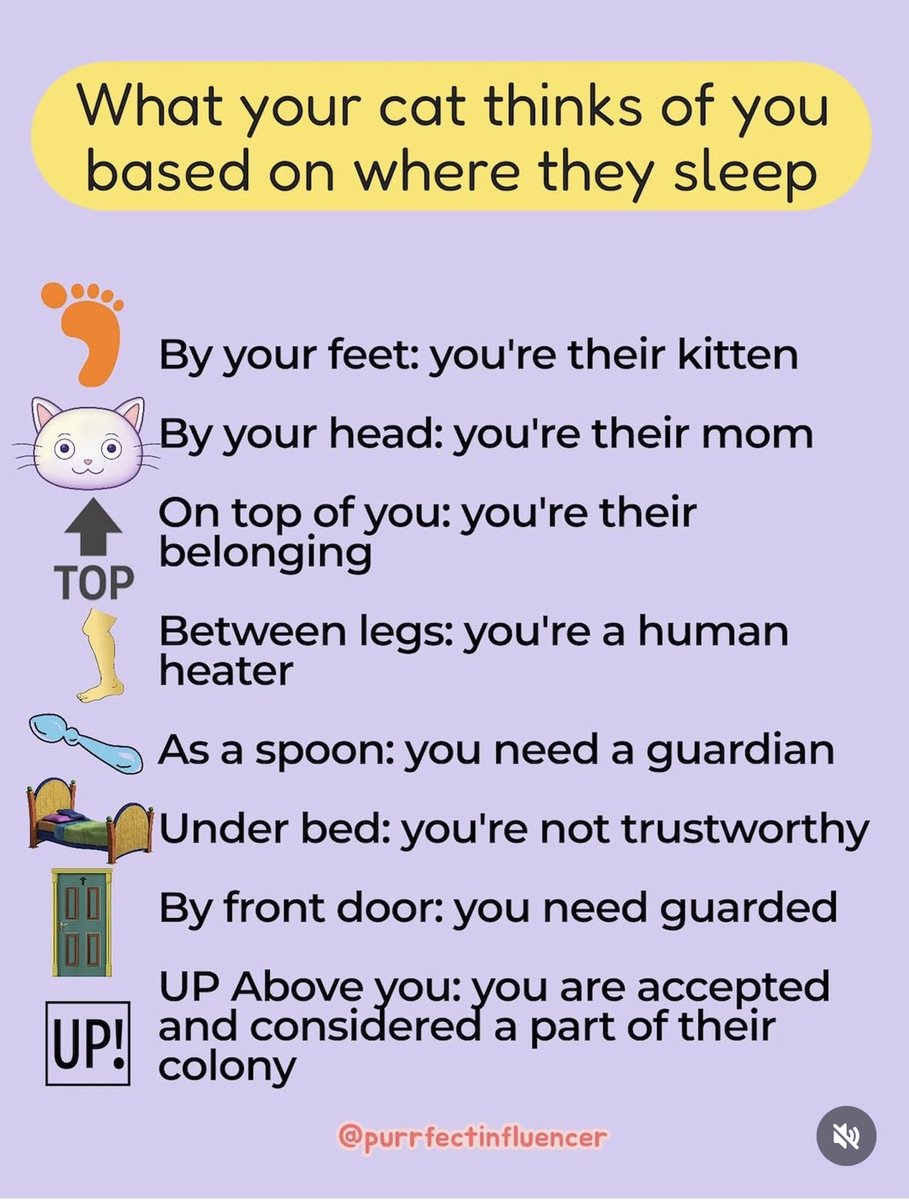 Laurie (@laurie0801) on Twitter photo 