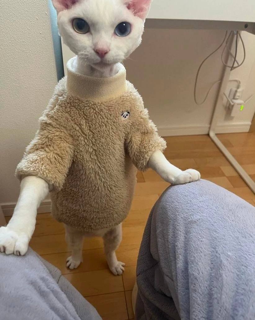 Похолодало.